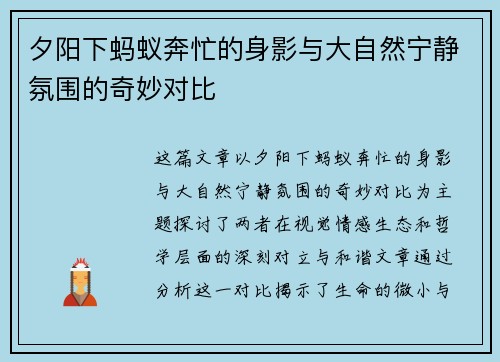 夕阳下蚂蚁奔忙的身影与大自然宁静氛围的奇妙对比